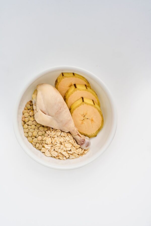 Petmeal Dieta Cocida Natural Perros - Vita K Pollo - Image 2