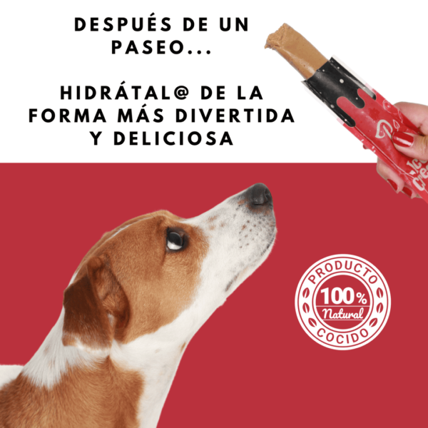 Petmeal Ice Cream para Perros Caja x 6 Unidades - Image 2