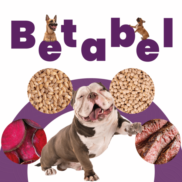 Petmeal Dieta Cocida Natural Perros - Betabel Res - Image 3