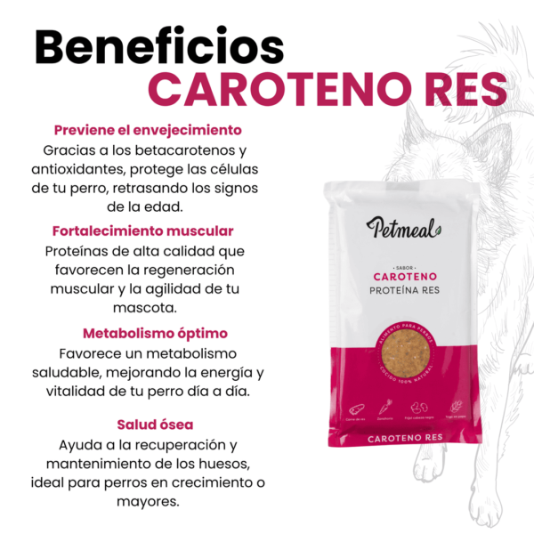 Petmeal Dieta Cocida Natural Perros - Caroteno Res - Image 4