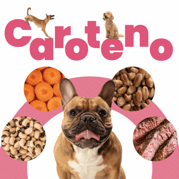Petmeal Dieta Cocida Natural Perros - Caroteno Res - Image 3