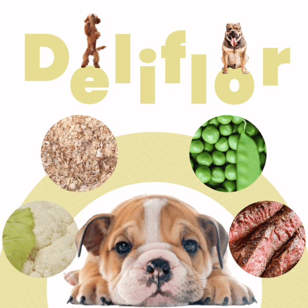 Petmeal Dieta Cocida Natural Perros - Deliflor Res - Image 3