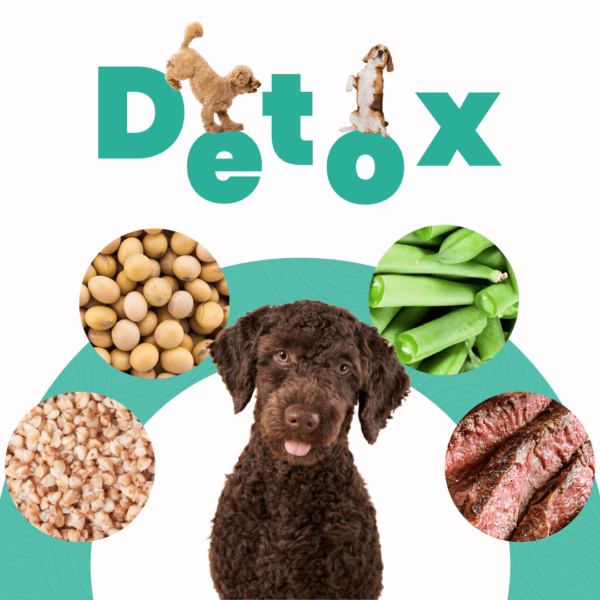 Petmeal Dieta Cocida Natural Perros - Detox Res - Image 3