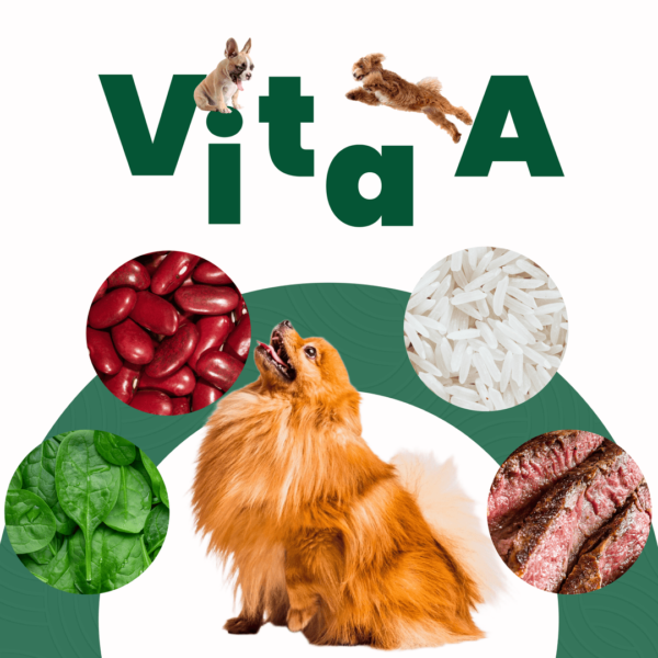 Petmeal Dieta Cocida Natural Perros - Vita A Res - Image 4