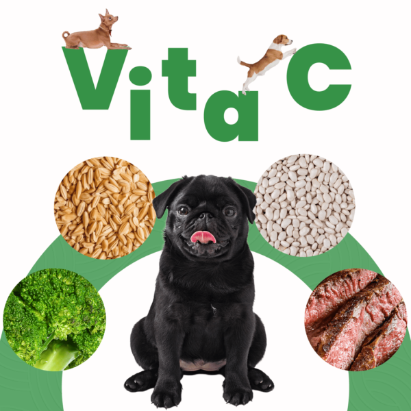 Petmeal Dieta Cocida Natural Perros - Vita C Res - Image 3