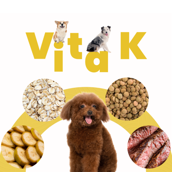 Petmeal Dieta Cocida Natural Perros - Vita K Res - Image 3
