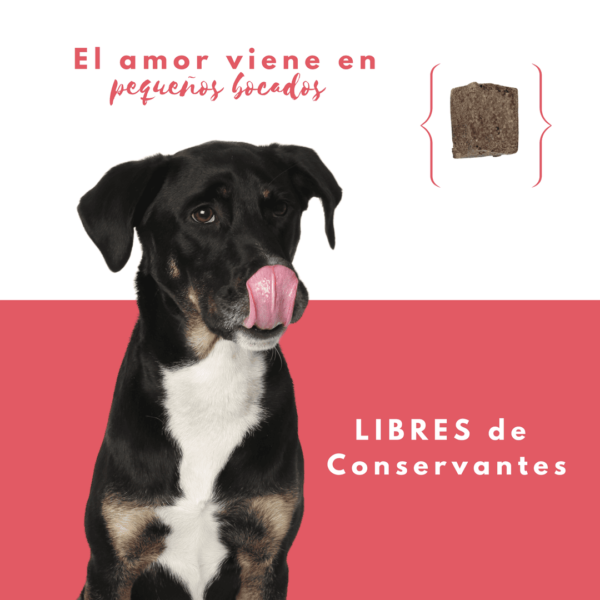 Petmeal Snack Liofilizado para Perros - Hígado de Cerdo - Image 3