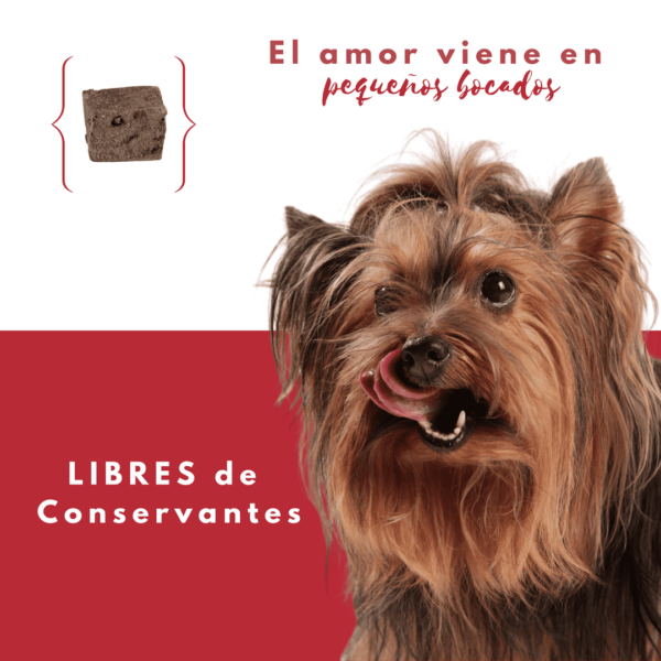 Petmeal Snack Liofilizado para Perros - Hígado de Res - Image 3