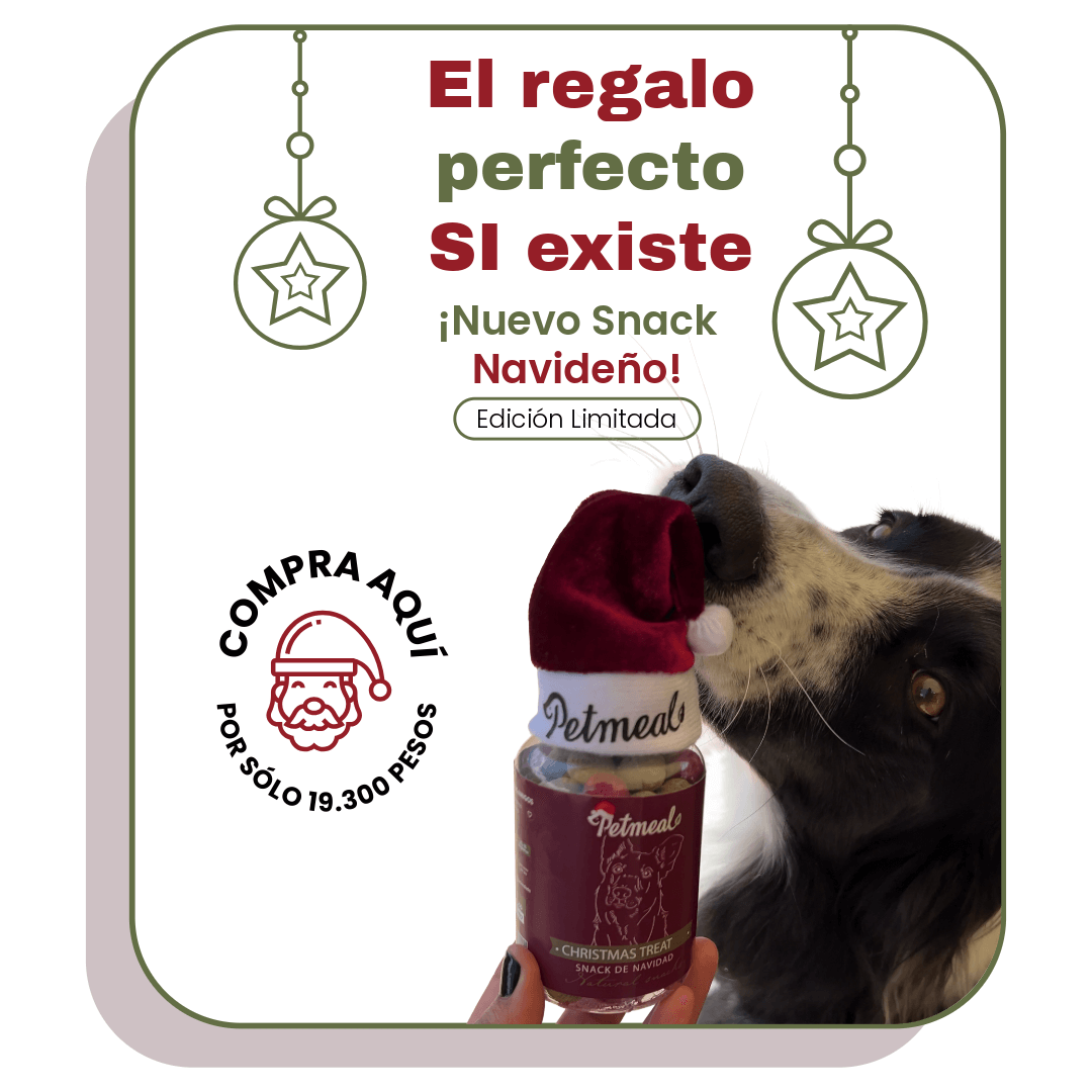 PopUp Navidad - Petmeal